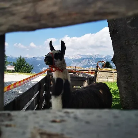 Rusa Appartamento *