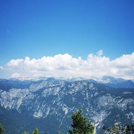 Rusa Appartement Bohinj